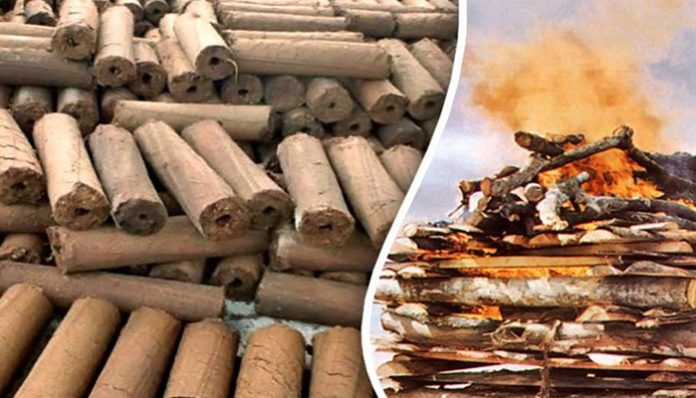 'Follow cow-wood on Holi, save forests and wood'
