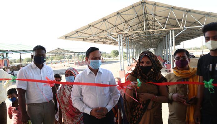 Collector reached Gayatri Self Help Group Procurement Center
