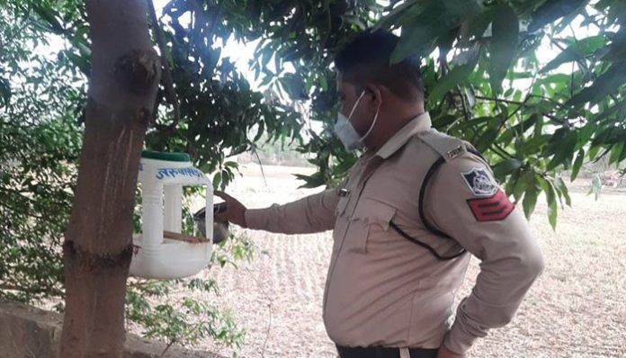 Jarukheda outpost in charge of new innovation, trees around the outpost campus to eat food for birds, people of the city are praising