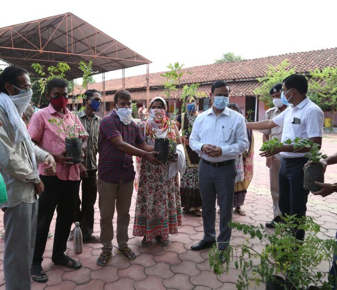 After vaccination, people will plant saplings at home and take care of it.