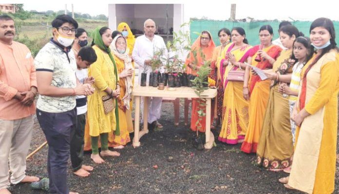 All World Gayatri Parivar planted saplings on the wedding day