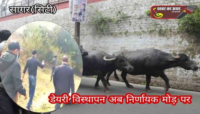 शहर से डेयरियों को बाहर भेजने के लिए आवंटित भूमि पर तैयारियॉं शुरू, आयुक्त पहुँचे मौके पर