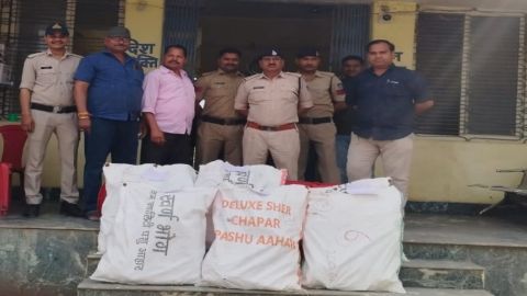 पुलिस ने खेत से 740 अफीम के पौधे जब्त किए