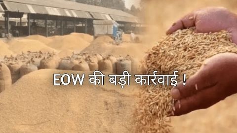 EOW की बड़ी कार्रवाई,सागर और जिले की धान उपार्जन समितियों पर FIR दर्ज