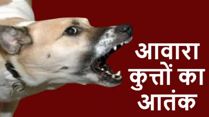 18_04_2023-stray_dogs_attack_23389219