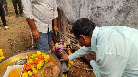 संभाग कमिश्नर ने की गोवर्धन पूजा, गौ माता को खिलाई घास और गुड़, स्व सहायता समूह की महिलाओं सदस्यों से की चर्चा 