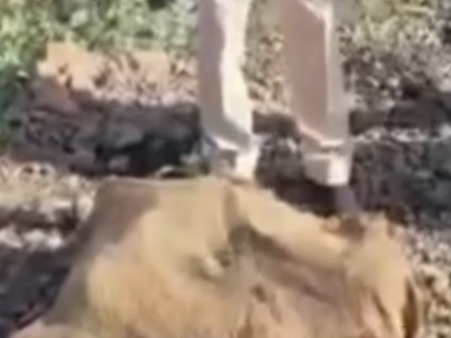 सागर में हाईवे के पास बोरे में बंद मिला शव, इलाके में दहशत का माहौल