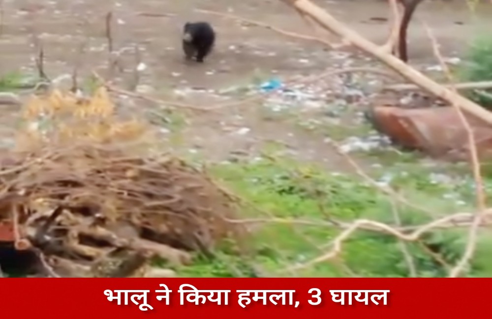 सागर: भालू के हमले से 3 लोग घायल, इलाके में दहशत, वन विभाग की कार्यप्रणाली पर उठे सवाल