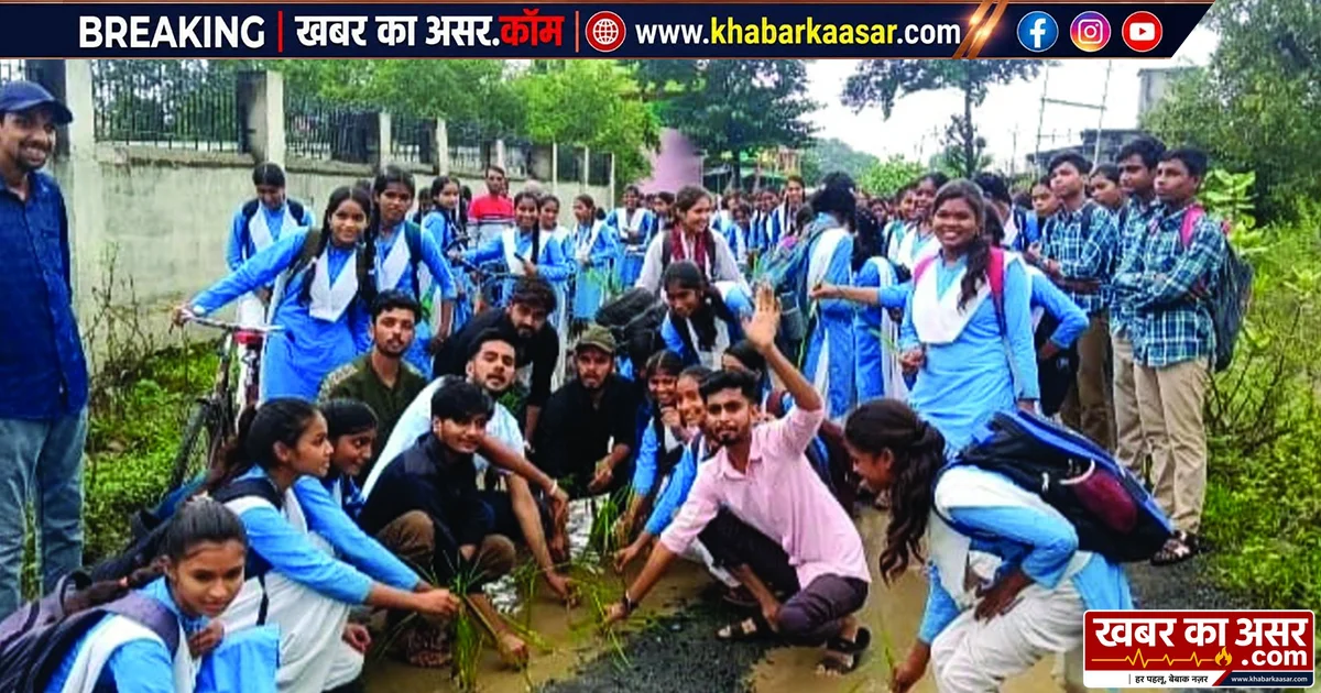 सागर: स्कूल जाने वाली सड़क बनी दलदल, छात्राओं ने गड्ढों में धान रोपकर जताया विरोध