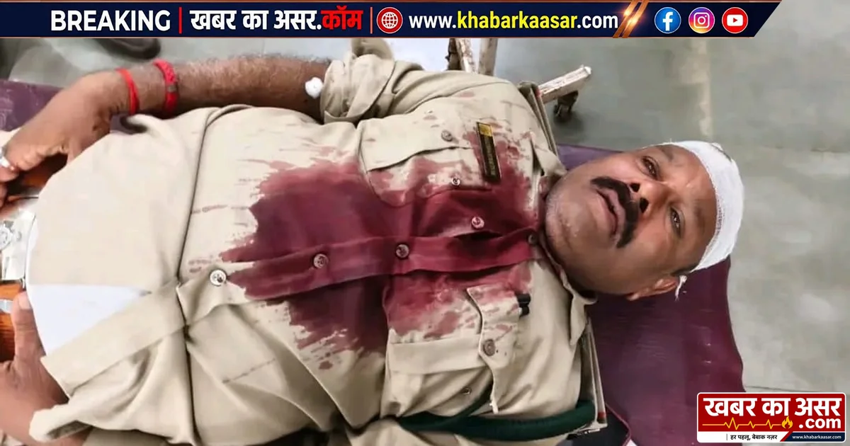 ट्रैक्टर रोकने पर कर्मचारियों को कुचलने का प्रयास, लाठी-डंडों से मारपीट में दो वनकर्मी घायल, एक सागर रेफर